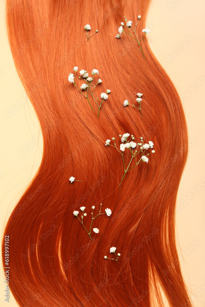 Ginger hair strand with beautiful gypsophila flowers on color background, closeup