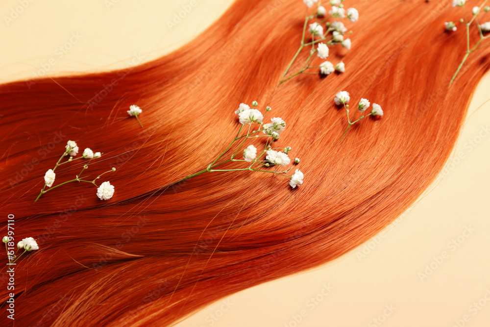 Ginger hair strand with beautiful gypsophila flowers on color background, closeup