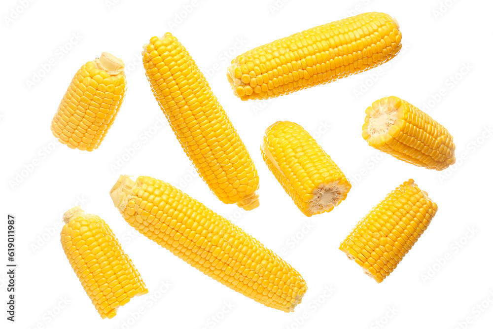 Fresh corn cobs on white background