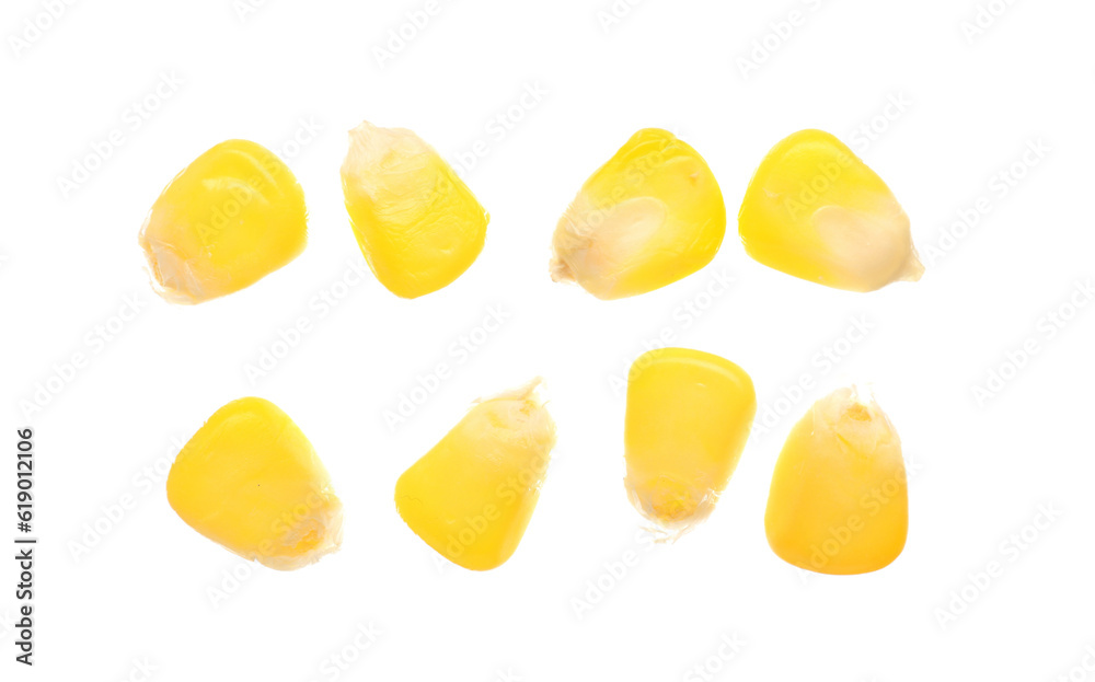 Fresh corn seeds on white background