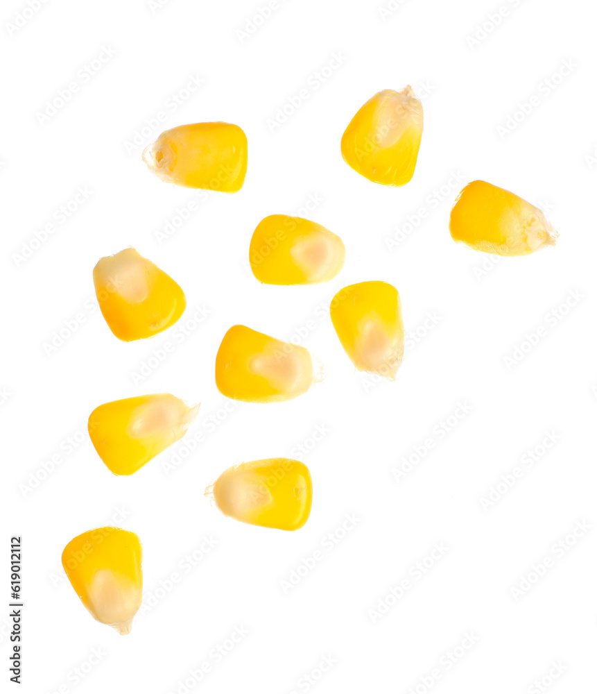 Fresh corn seeds on white background