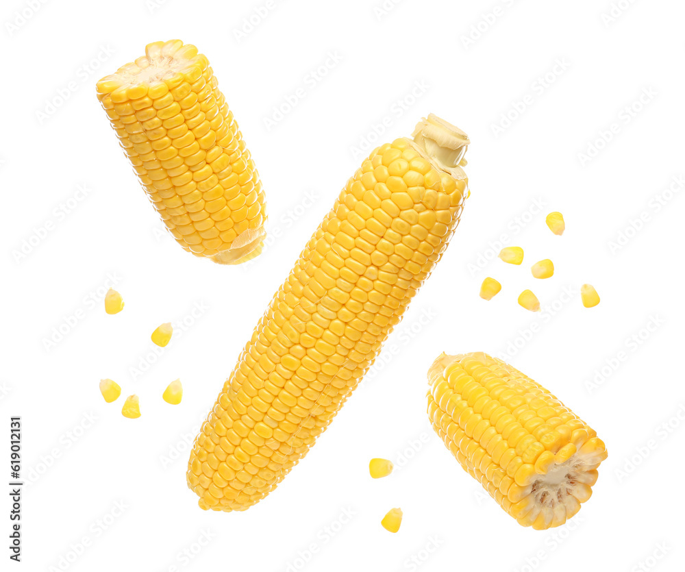 Fresh corn cobs and seeds on white background