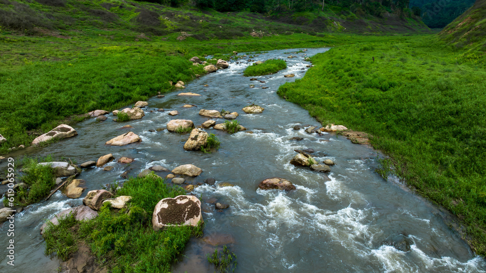 Aerial view tropical green forest and river with mountains in background, Green tree forest view fro