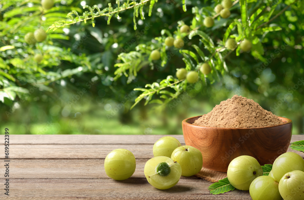 Amla (Indian gooseberry) powder with amla plant background.