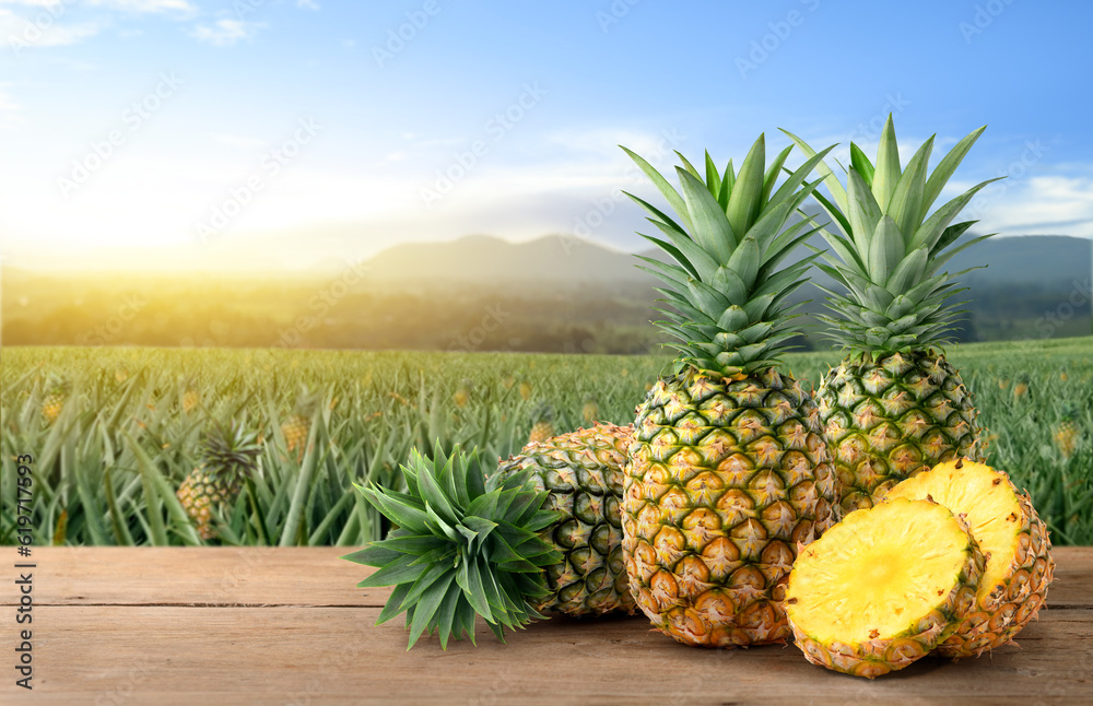 Pineapple fruits with slices on wooden table in pineapple farming.