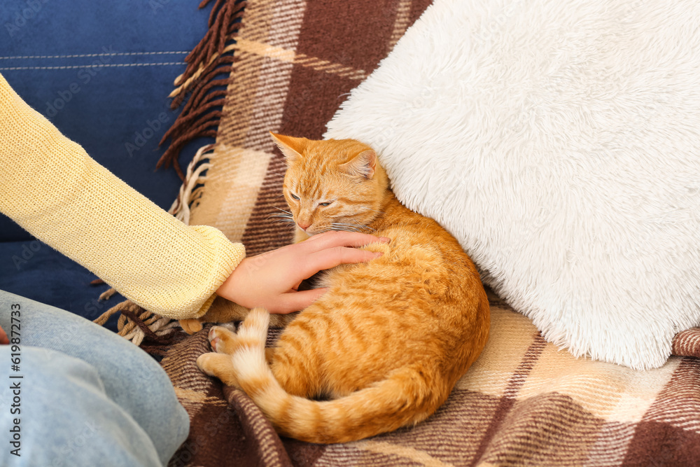 Woman with ginger cat on sofa, closeup