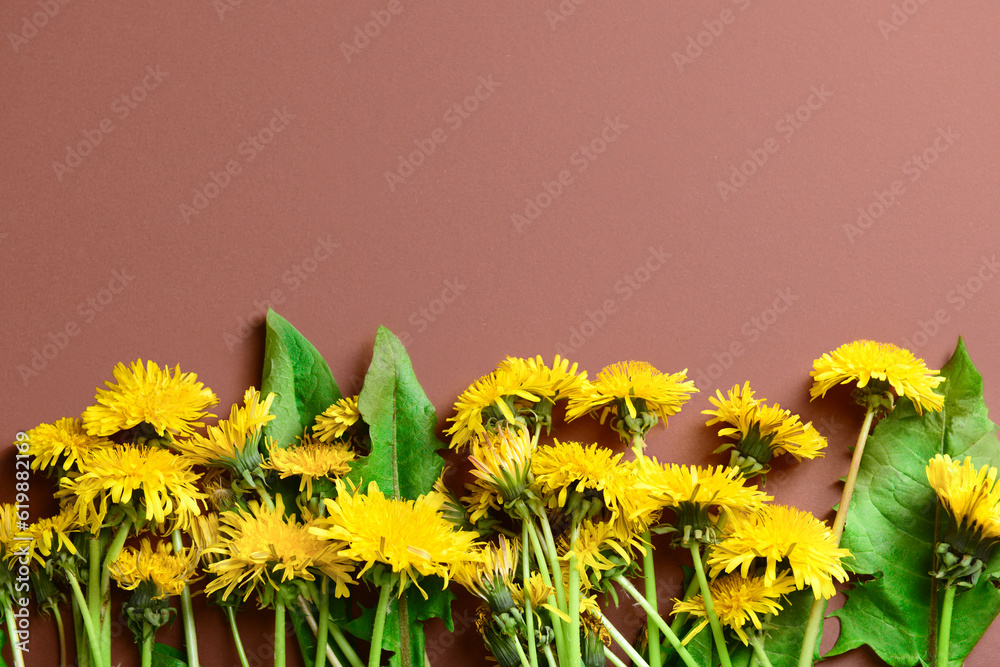 Yellow dandelion flowers and leaves on color background, closeup