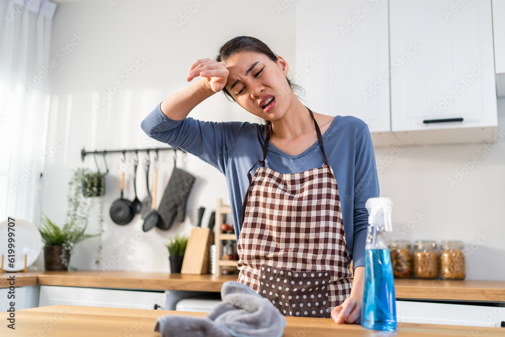 Asian beautiful cleaning service woman worker cleaning kitchen at home. 