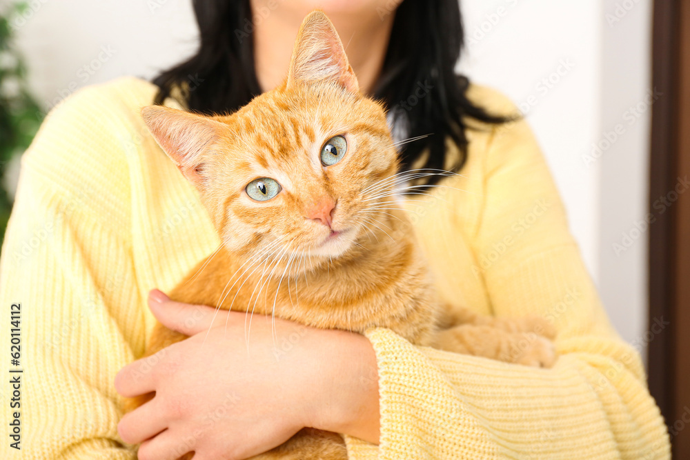 Woman with ginger cat at home, closeup