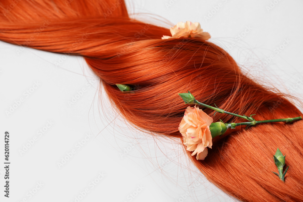 Beautiful ginger hair with carnation flowers on white background, closeup