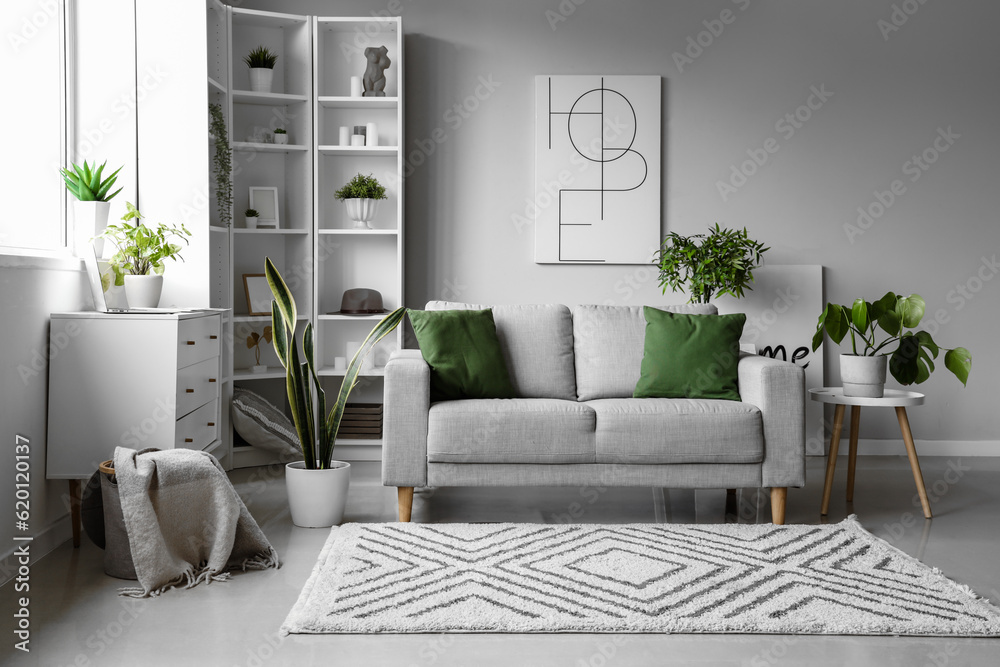 Interior of light living room with cozy grey sofa and houseplants