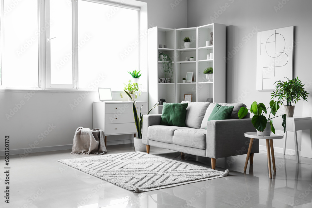 Interior of light living room with cozy grey sofa and houseplants