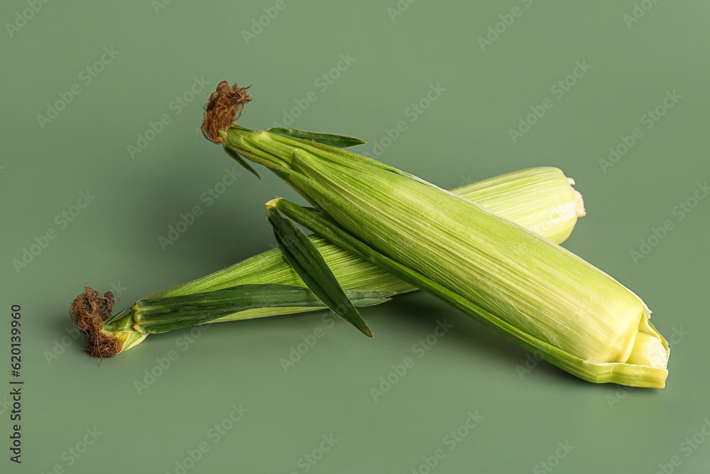 Fresh corn cobs on green background