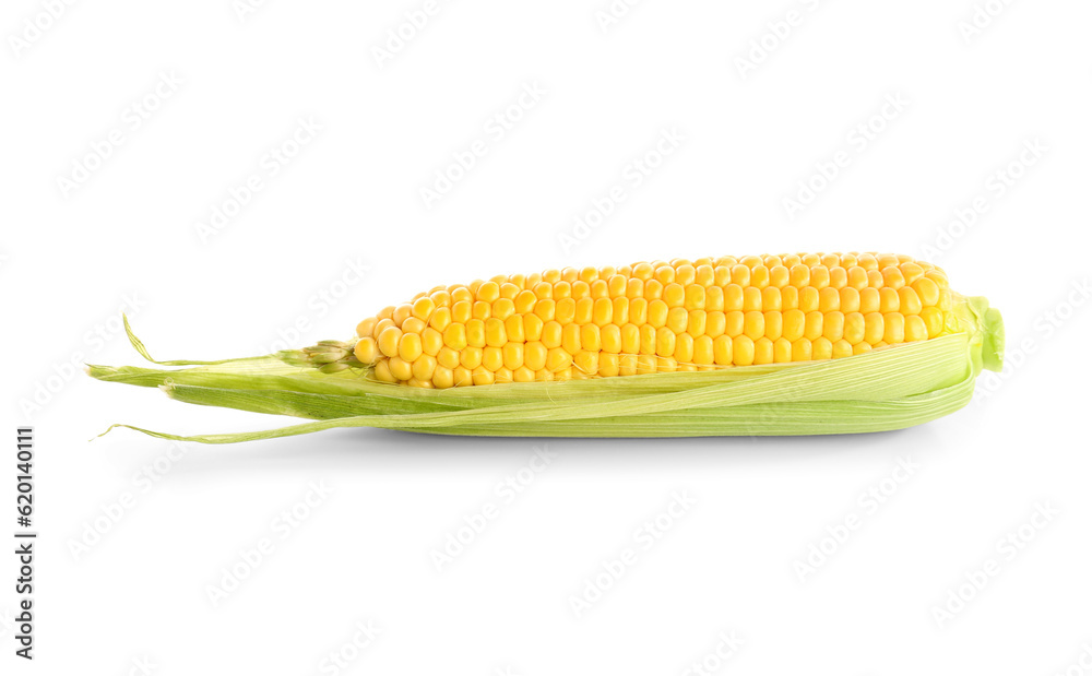 Fresh corn cob on white background