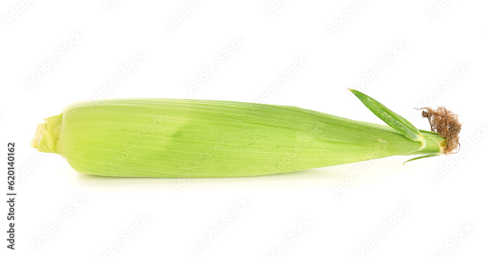 Fresh corn cob on white background