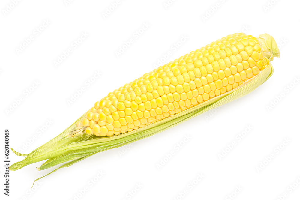 Fresh corn cob on white background