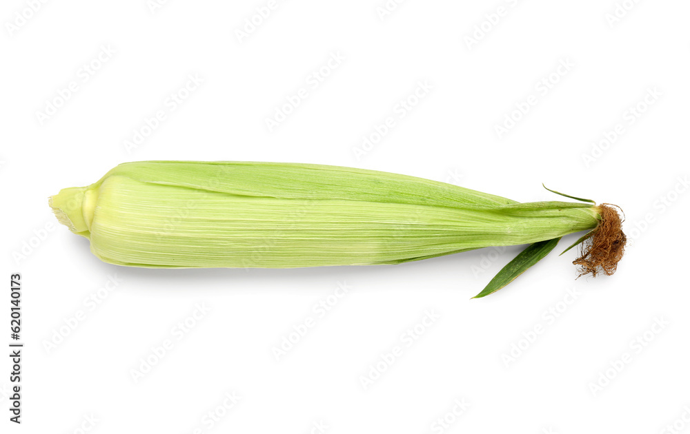 Fresh corn cob on white background