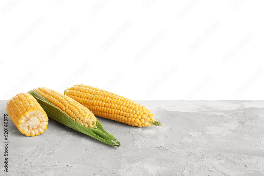 Fresh corn cobs on grey table against white background