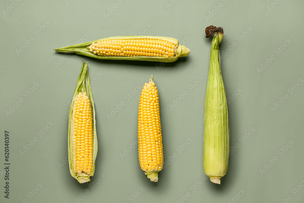 Fresh corn cobs on grey background