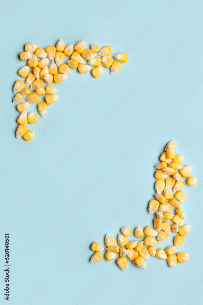 Fresh corn seeds on blue background