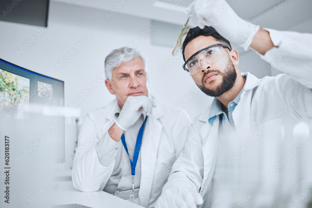 Laboratory, science team and man with test tube checking results of medical study for pharmaceutical