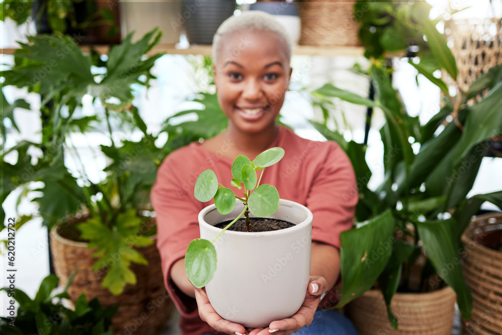 Black woman, plant and nature, gardening and sustainability with environment. African female person,