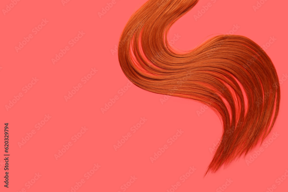 Ginger hair strand on red background, closeup