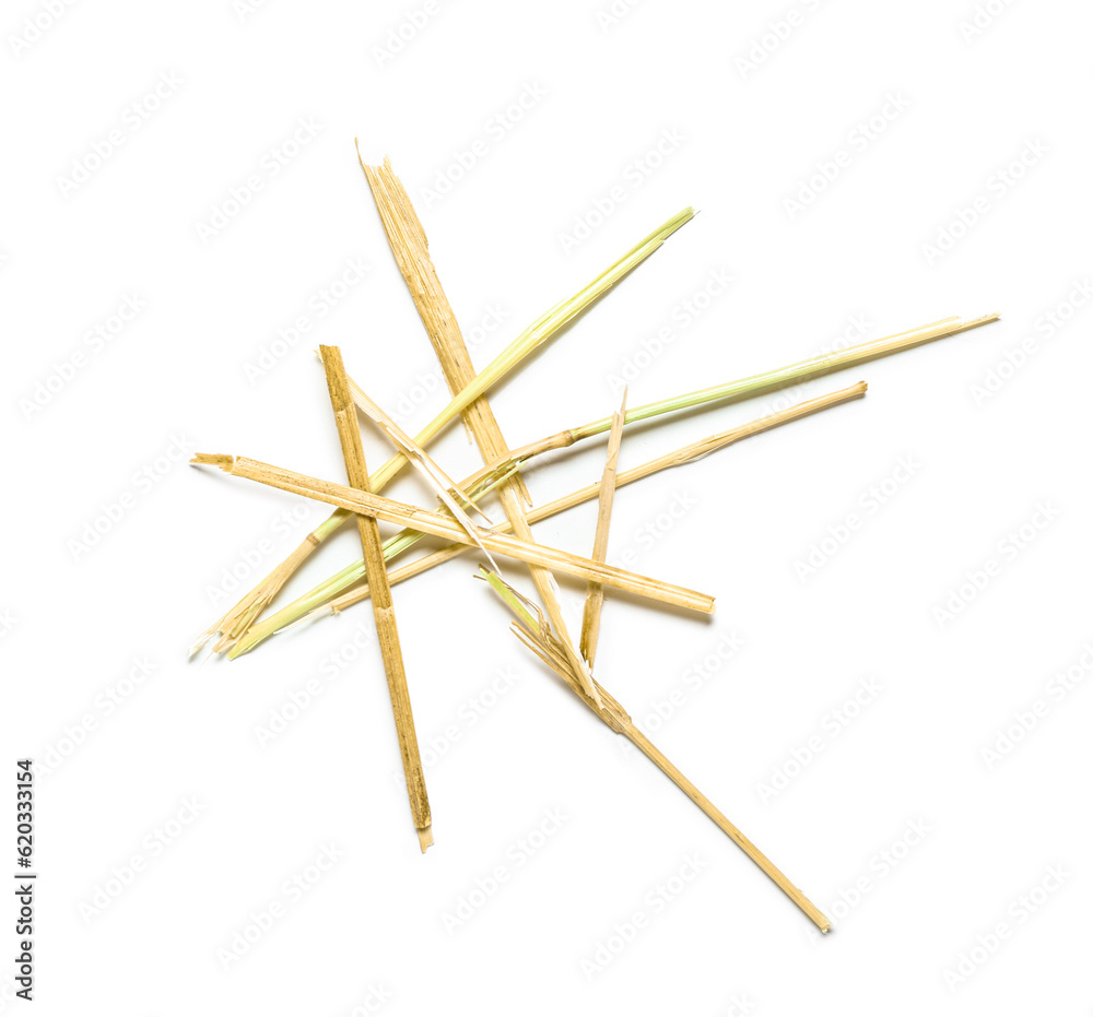 Straws scattered on white background