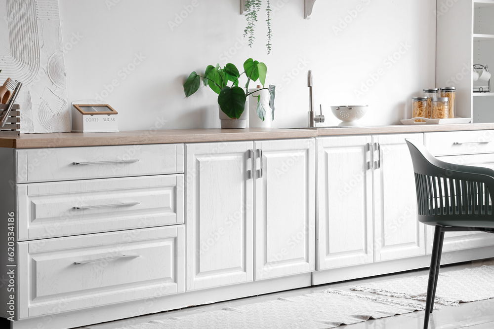 Interior of light kitchen with white counters, sink and houseplant