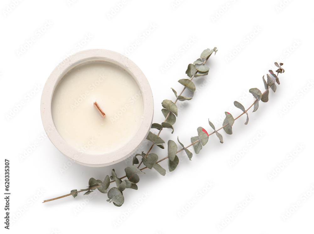 Holder with candle and eucalyptus on white background