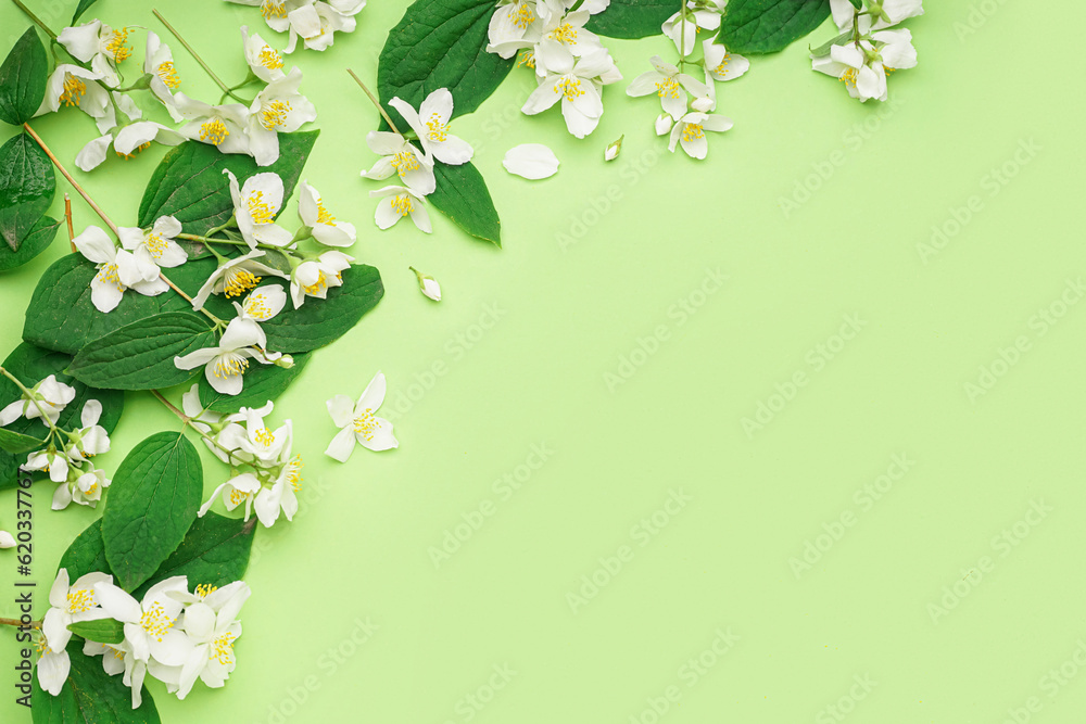 Composition with beautiful jasmine flowers and leaves on green background