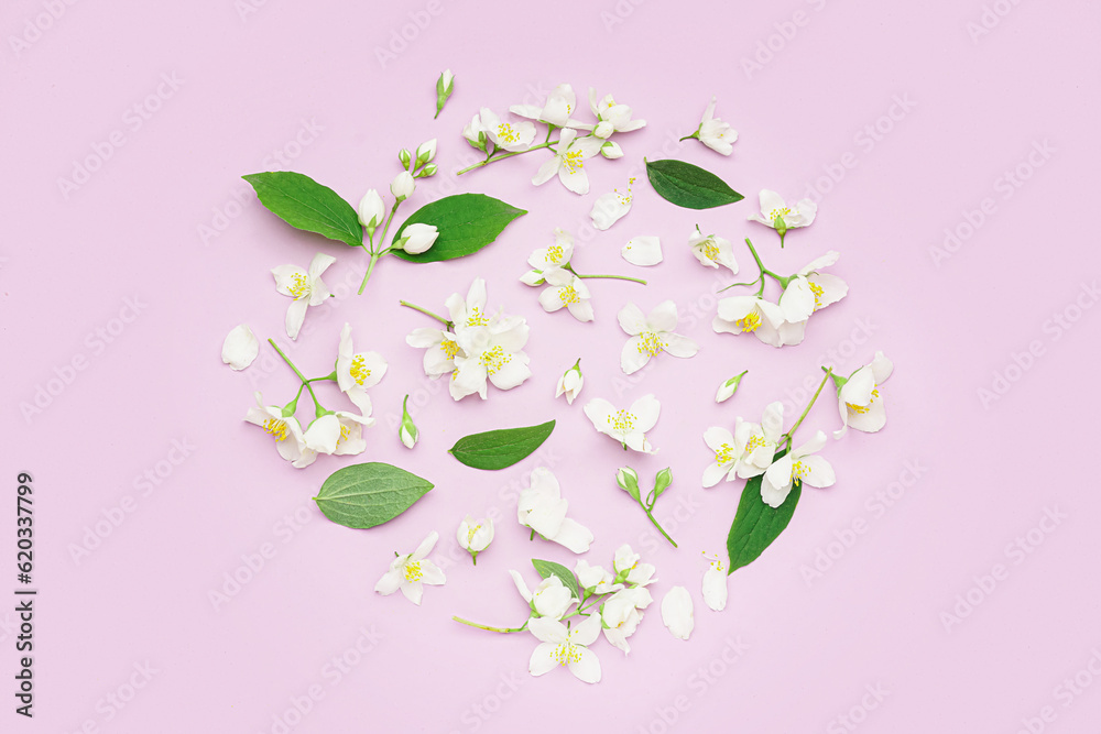 Composition with beautiful jasmine flowers on lilac background