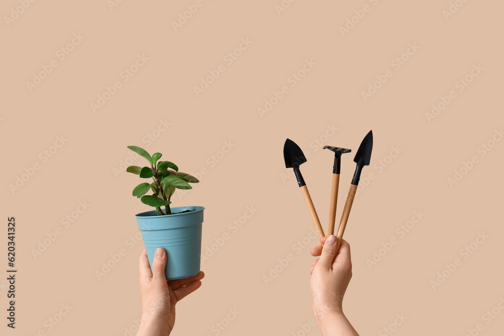 Woman with gardening tools and plant on beige background