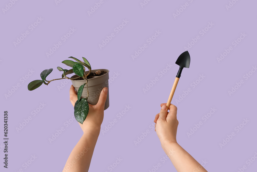 Gardener with plant and shovel on lilac background