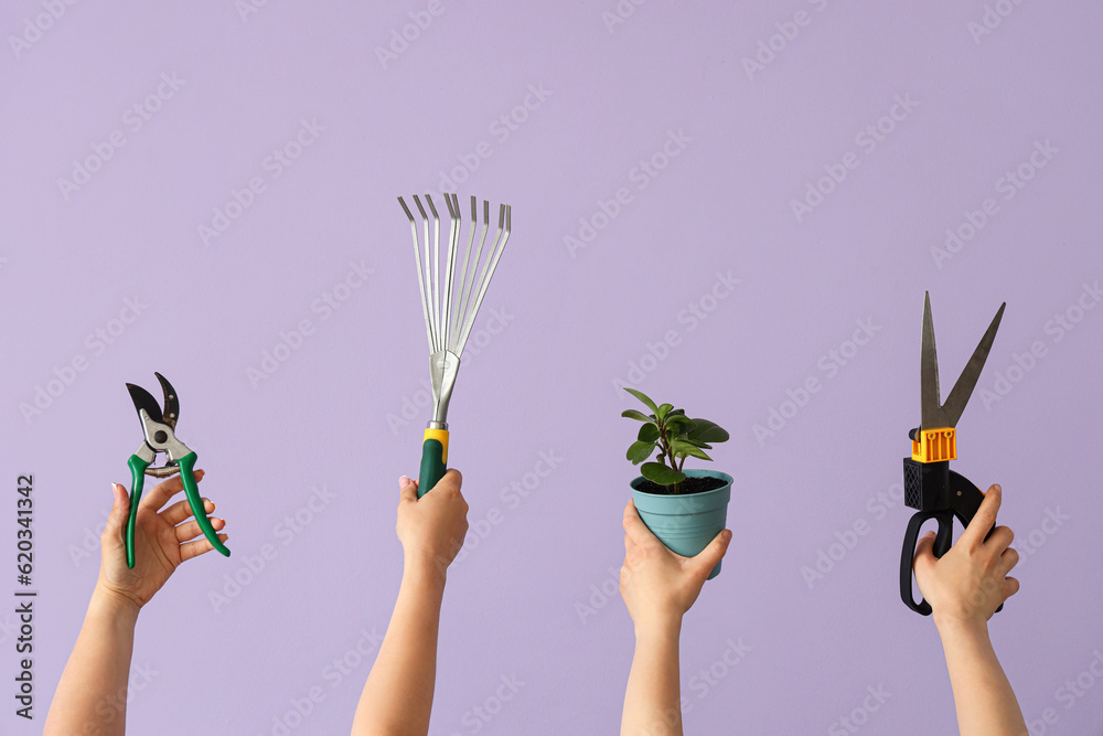 Women with gardening tools and plant on lilac background