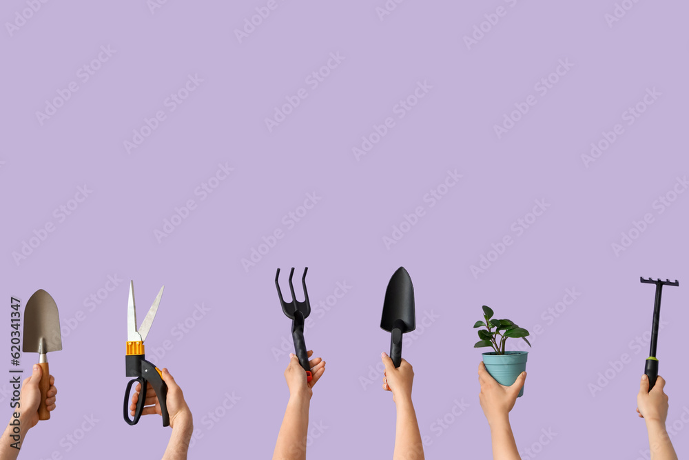 People with gardening tools and plant on lilac background