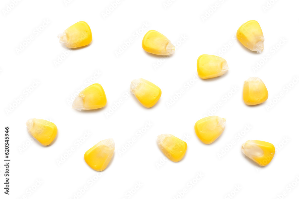 Fresh corn seeds on white background