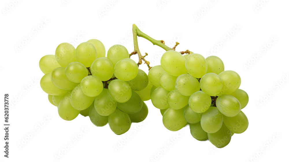 Isolated grapes. A pair of green grapes on a transparent backdrop. Recently picked produce.