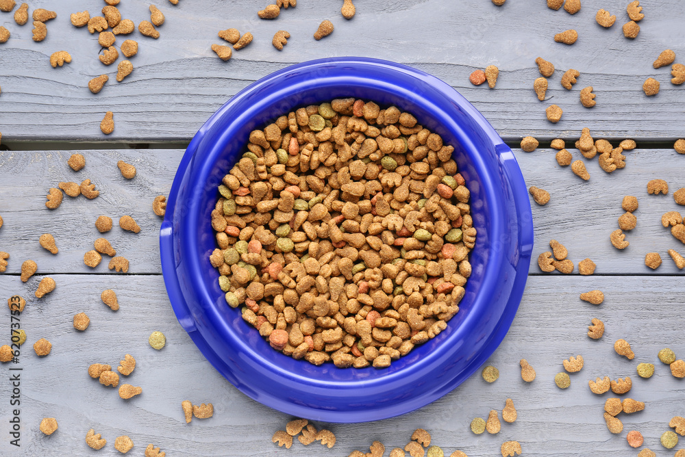 Bowl with dry pet food on color wooden background