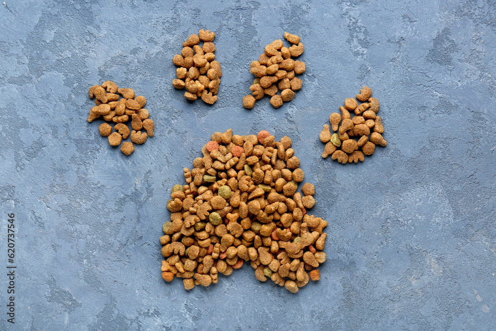 Pet paw made of dry food on color background