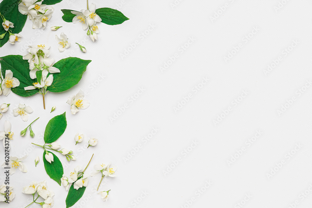 Composition with beautiful jasmine flowers and leaves on light background