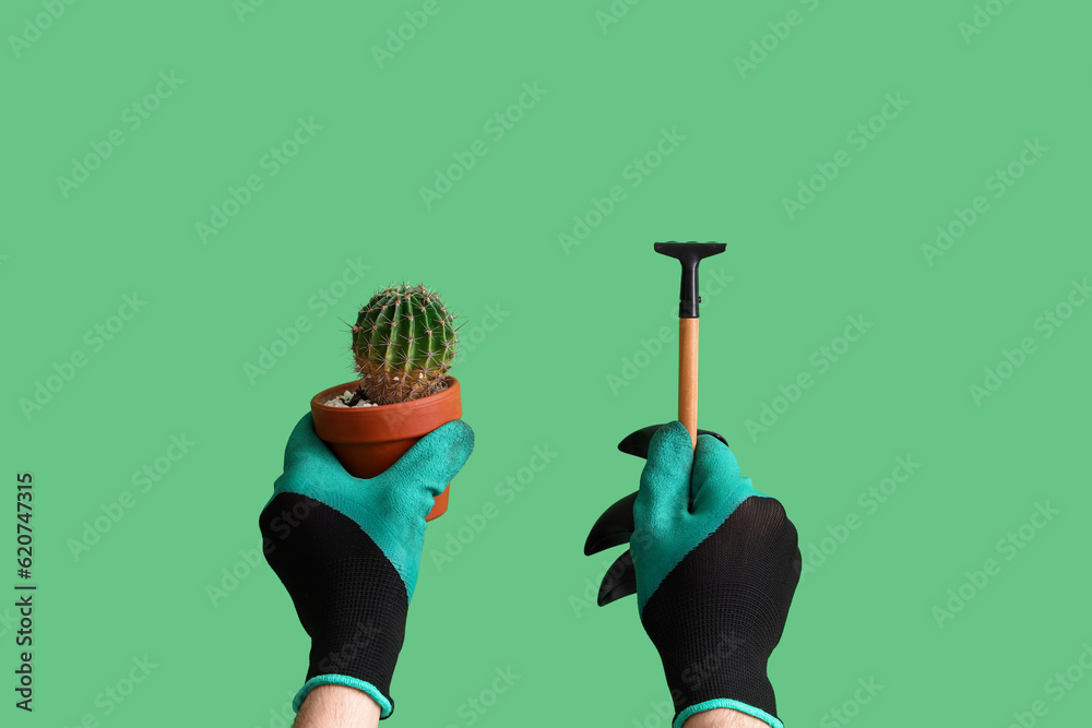 Gardener with cactus and rake on green background