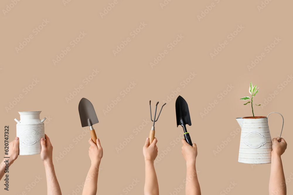 People with gardening tools and plant on beige background