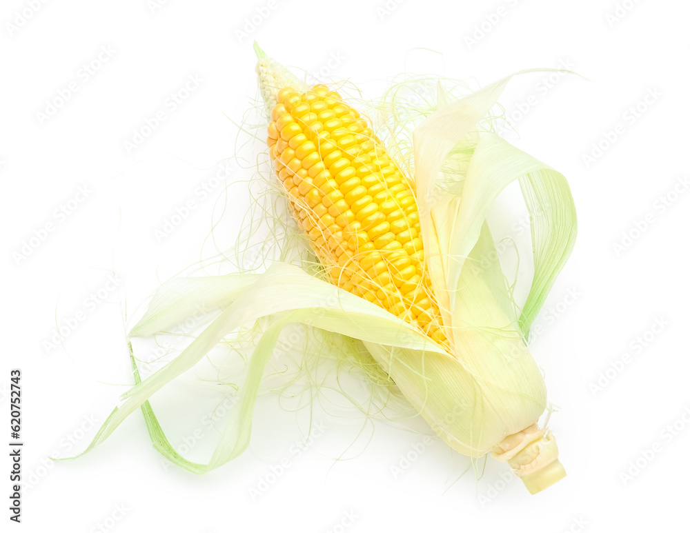 Fresh corn cob on white background