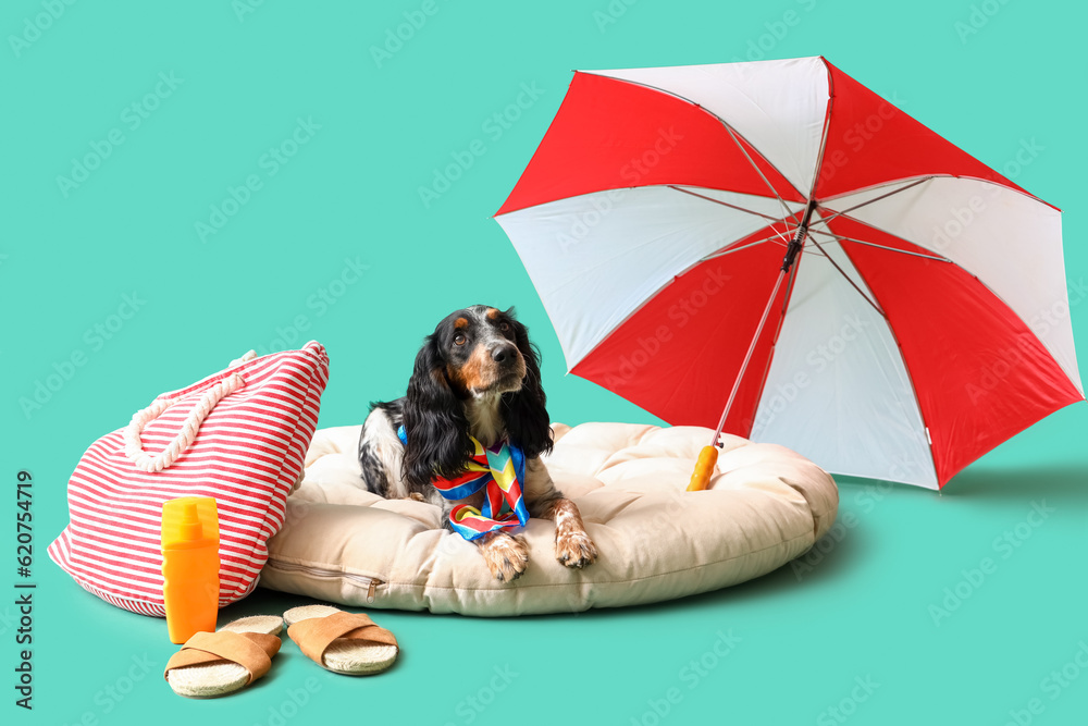 Cute cocker spaniel with beach accessories on green background