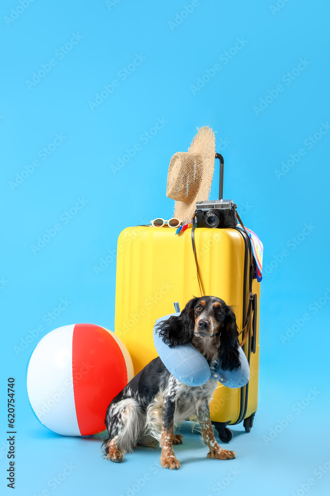 Cute cocker spaniel with suitcase and beach accessories on blue background