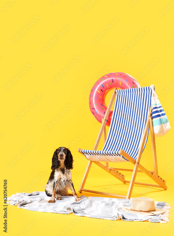 Cute cocker spaniel with beach accessories and deck chair on yellow background