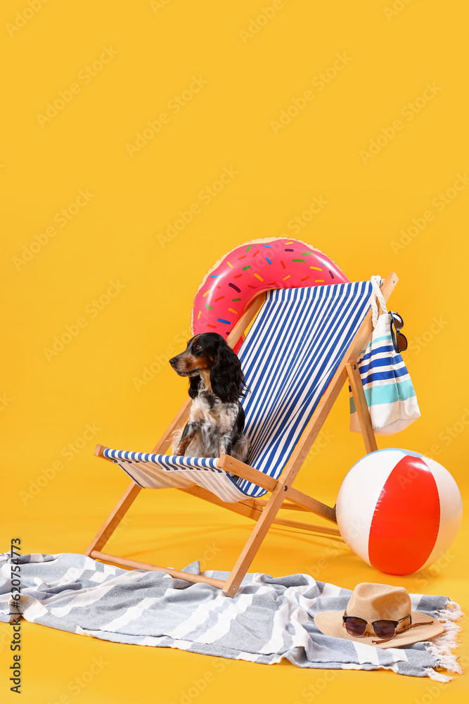 Cute cocker spaniel in deck chair with beach accessories on yellow background