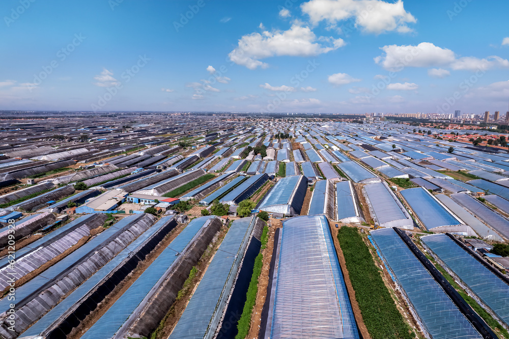 Aerial panoramic view of the skyline in Shouguang vegetable greenhouse area