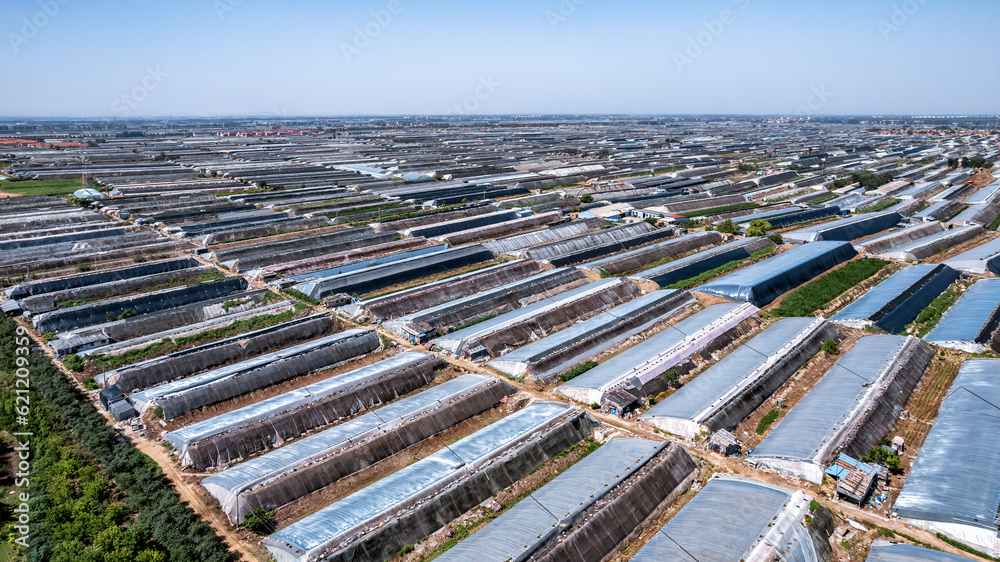 Aerial photo of the skyline of Shouguang vegetable greenhouse area